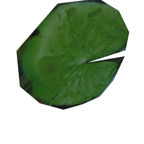 leaf 3